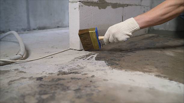 Top rated local Waterproofing specialists in Danville, VA